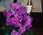 2010110410280000.jpg