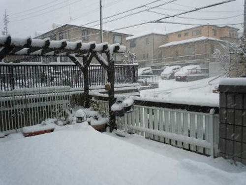 12.02.02-3_400.jpg