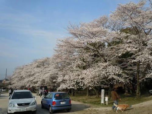 12.04.10-2_400.jpg