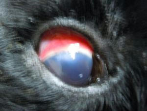 12.04.11-5_300.jpg