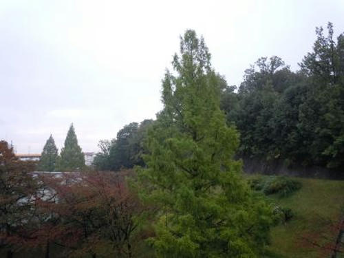 12.10.28-4_400.jpg