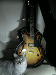 ギターと愛猫の画像（クリック）