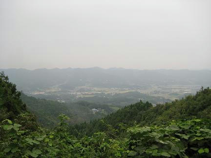 林道嶺岡中央1号線