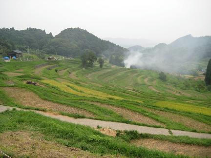 大山千枚田