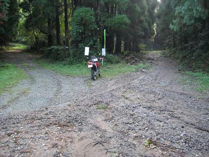 鬼泪山林道