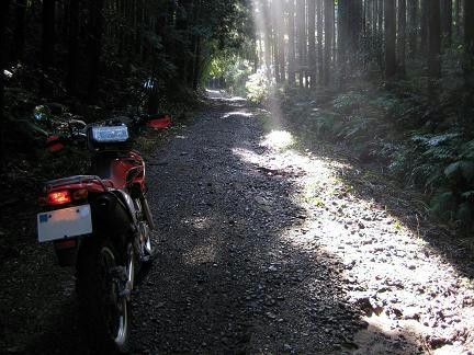 鬼泪山林道