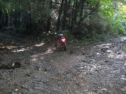 鬼泪山林道