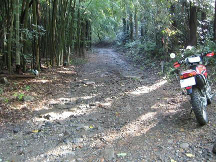 鬼泪山林道