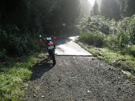 鬼泪山林道