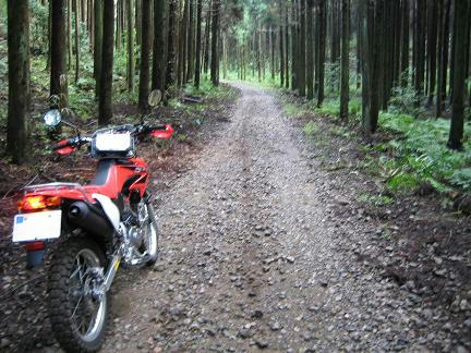 鬼泪山林道