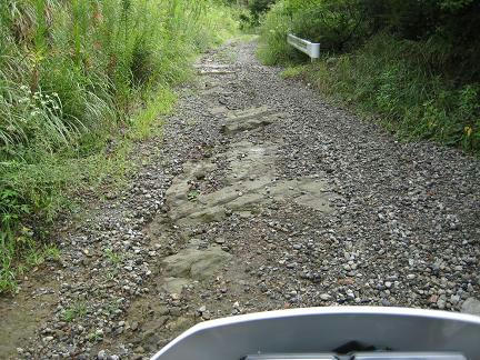 田取林道