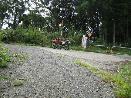 田取林道