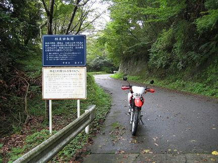 田取林道