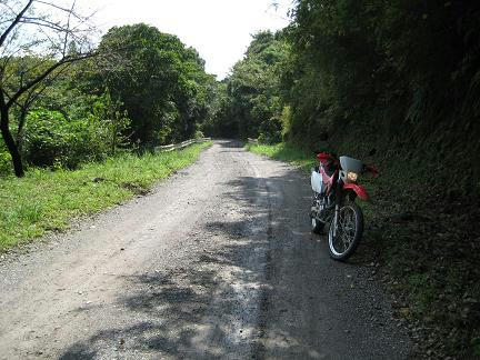 大福山林道