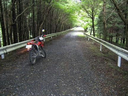 月崎大久保林道