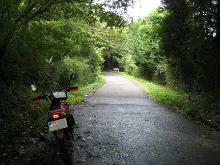 音信山線