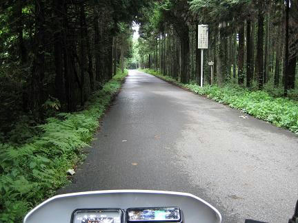 丹原林道