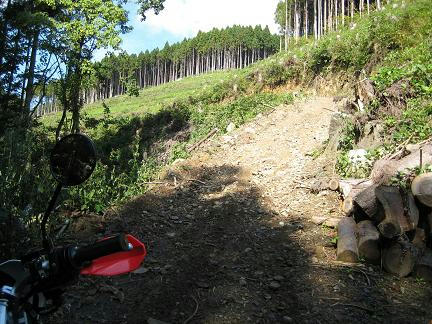 目兼林道分岐先