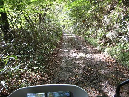 四時川林道