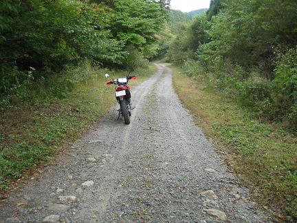 七ツ滝柳沢林道
