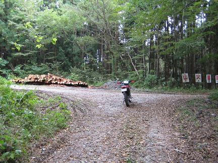 花園林道分岐