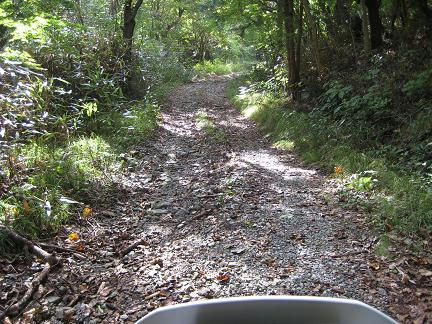 大金田林道