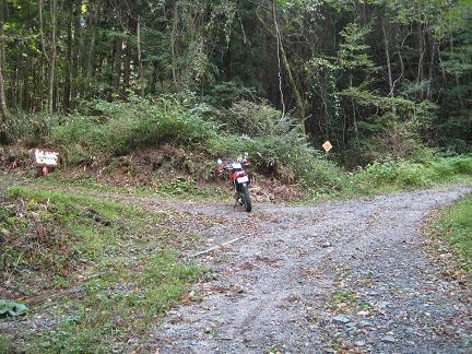 大金田林道分岐