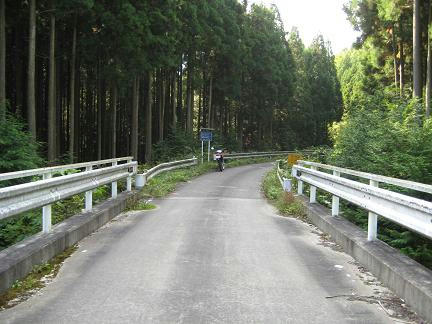 林道 大荷田線