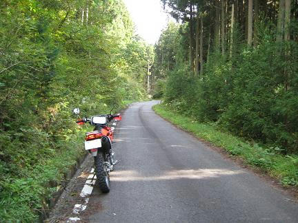 林道 大荷田線