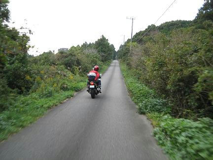 嶺岡中央林道