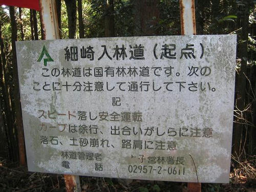 細崎入林道