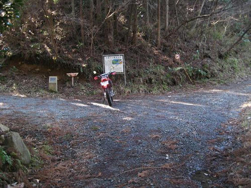 舟生沢林道