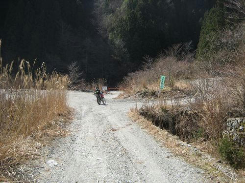 林道分岐