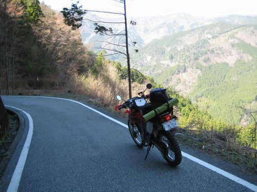 祖谷山林道