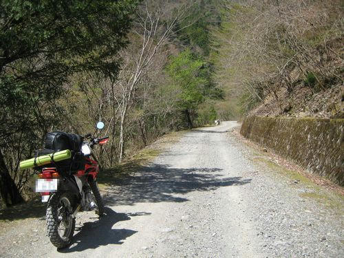 剣山スーパー林道