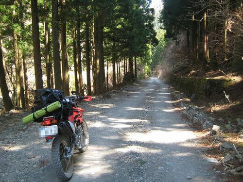 剣山スーパー林道