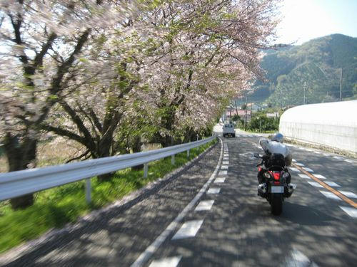 国道424号線