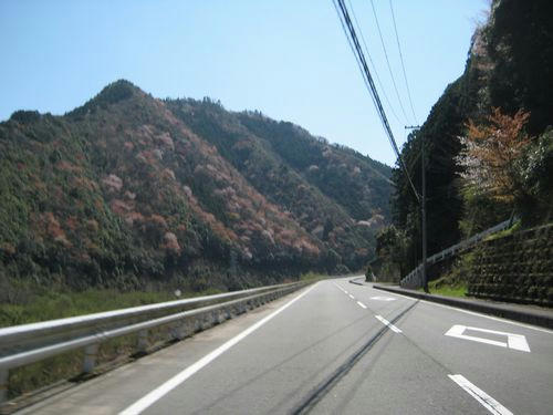 国道424号線