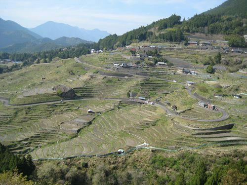 丸山千枚田