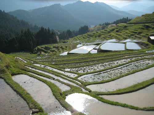 丸山千枚田