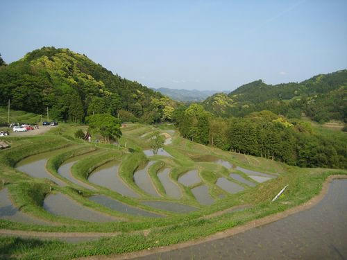 大山千枚田