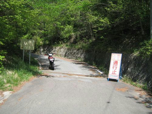 嵯峨塩深沢林道