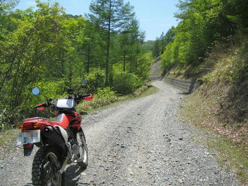 泉水横手山林道