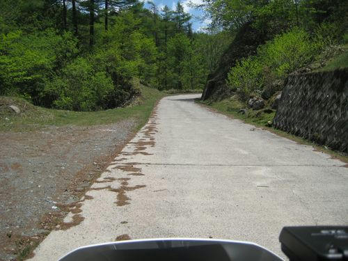 泉水横手山林道