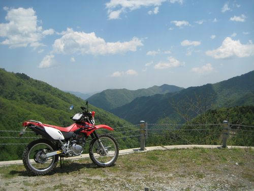 泉水横手山林道