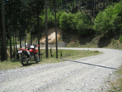 泉水横手山林道