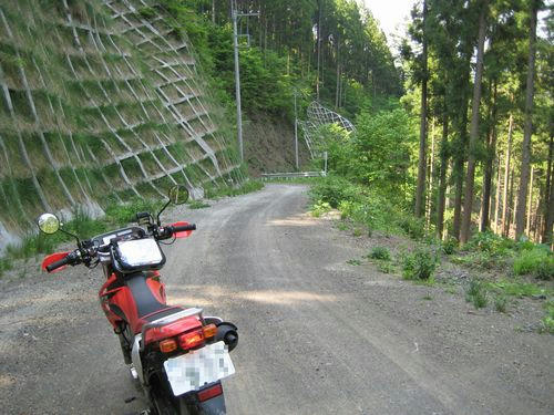 入間白岩林道