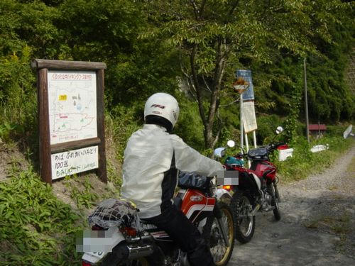 山中林道