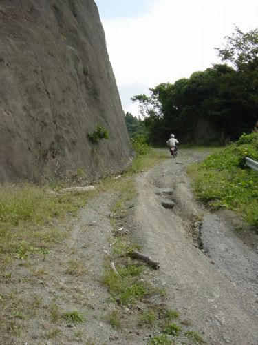 山中林道