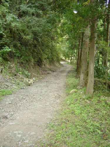 横尾林道